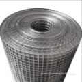 Stainless Mesh 2X2 stainless steel welded wire mesh for fence Manufactory